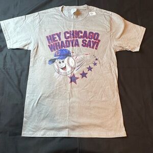 NWT MLB Chicago Cubs Gray T-shirt Child Size Small Hey Chicago Whatya Say!